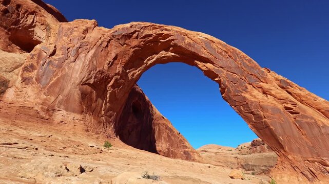 Golden evening light bathes the towering sandstone curve of Corona Arch rising above Bootlegger Canyon near Moab Utah