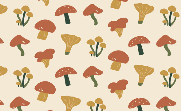 Minimal Mushroom Collection with Porcini, Amanita, Shiitake, Oyster and Chanterelle Fungi, Scandinavian Woodland Illustration Set