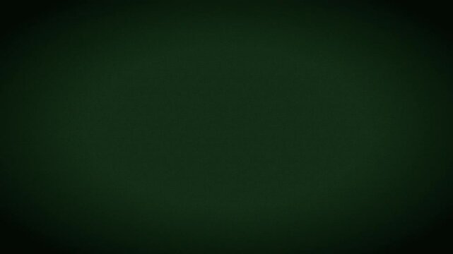 Terminal phosphor old tv static glitch animation for cyber stream, retro analog signal distortion and cathode crt texture