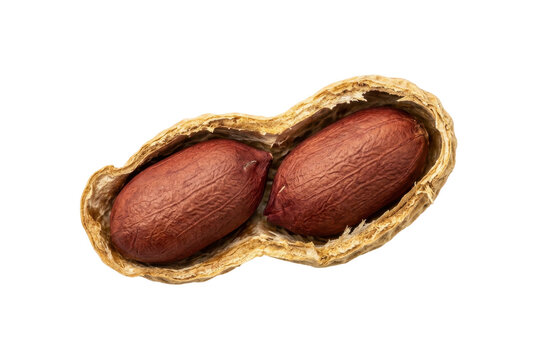 Open peanut pod revealing two kernels on a black background