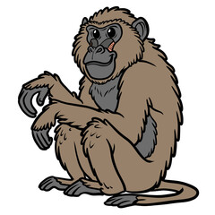 Cute cartoon baboon monkey jungle animal illustration isolated on transparent background © pranowo