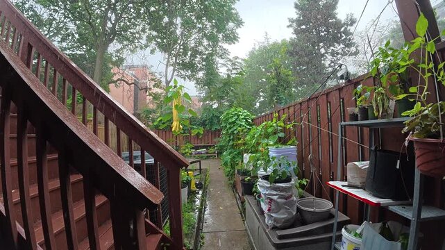 Heavy rainstorm in a Toronto backyard, Canada