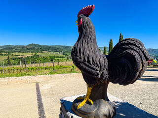 Black rooster sculpture above a Chianti vineyard, Tuscany © versus_cz