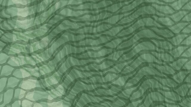 Topographic terrain map animation featuring 3D contour lines and abstract digital landscape for real estate development and geography project.