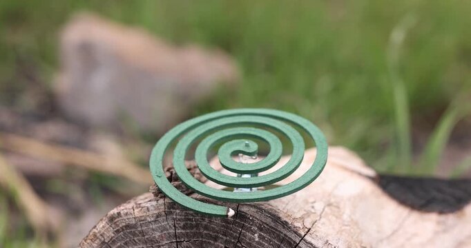 Smouldering insect repellent coil on tree trunk outdoors, closeup