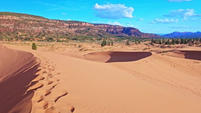 Golden sunset light glows across the panoramic view from atop a Coral Pink Sand Dunes State Park dune in Utah