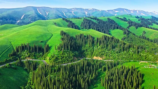 Aerial view of a winding mountain road through lush green alpine meadows and spruce forests on Duku Highway, Xinjiang, China.