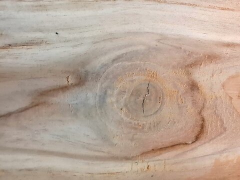 Natural Light Wood Texture with Wood Knot Pattern