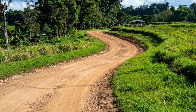 Rural Dirt Road Winding Through Lush Green Landscape