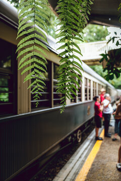 ケアンズ 熱帯雨林に溶け込むキュランダ駅 -Kuranda Station in the Tropical Rainforest-
