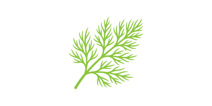 Fresh green dill herb sprig illustration.
