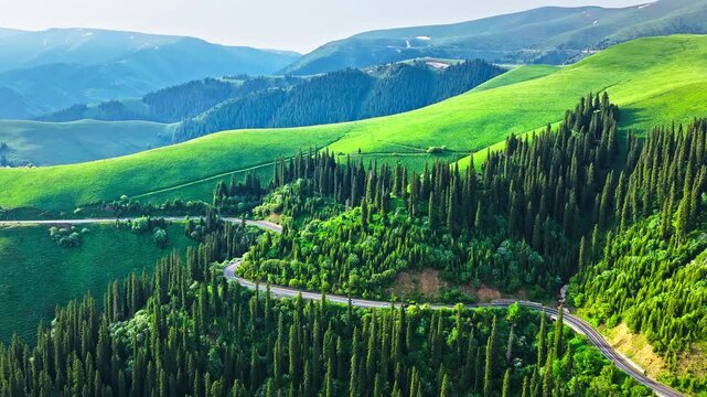 Aerial view of winding road through lush green mountain forest on Duku Highway, Xinjiang, China.