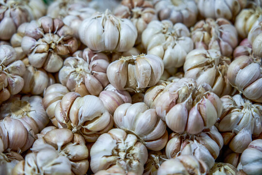 Close-up of purple-skinned garlic stacked on market stall