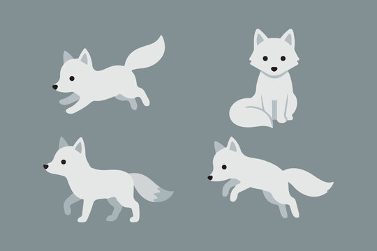 cute kawaii white snow fox
