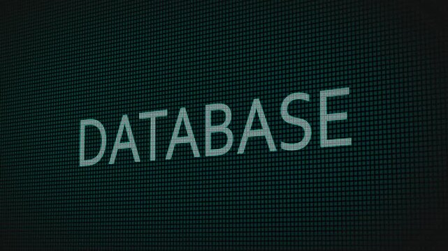 Database word text typing animation on a computer screen in After Effects. Motion graphics highlight storage, management, and modern digital information concepts.