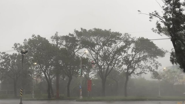 Trees Thrash In Powerful Hurricane Winds As Storm Makes Landfall
