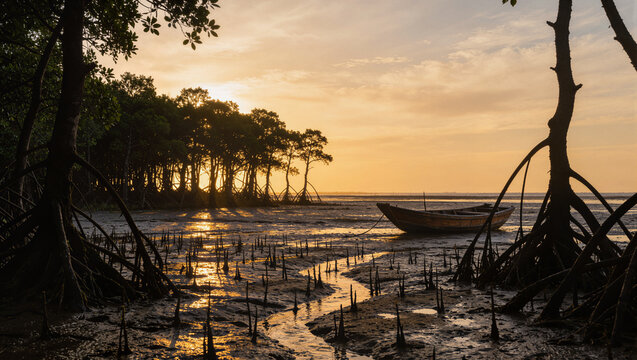 Mangrove roots and wooden boat on tidal mudflat at sunset