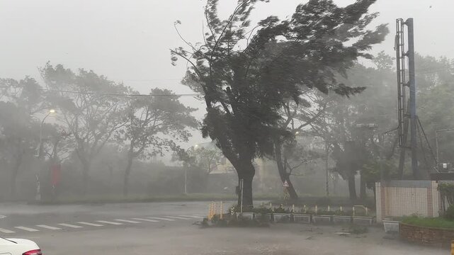 Powerful Hurricane Winds Thrash Trees During Violent Landfall