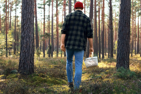 man foraging for wild mushrooms in a dense pine forest, carrying a basket for the autumn harvest, embracing a sustainable lifestyle, wild harvesting, and our deep connection with nature.