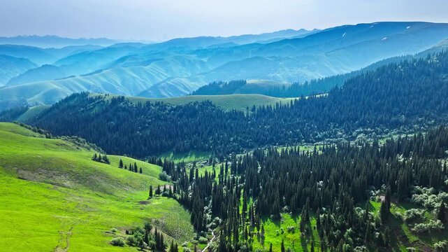 Aerial view of lush green mountain forest and rolling hills in Xinjiang, China.