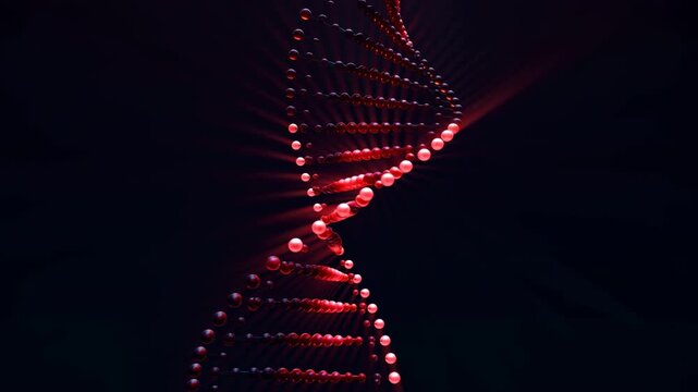 Glowing red DNA double helix rotates through a dark background, with luminous spherical strands and connecting rungs forming a twisting vertical molecular structure in dramatic light