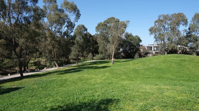 Green grassy parkland in Yarraville, Melbourne, Victoria, Australia, with shaded trees, footpath, person walking dog, and residential housing nearby. Peaceful urban parkland and liveable environment