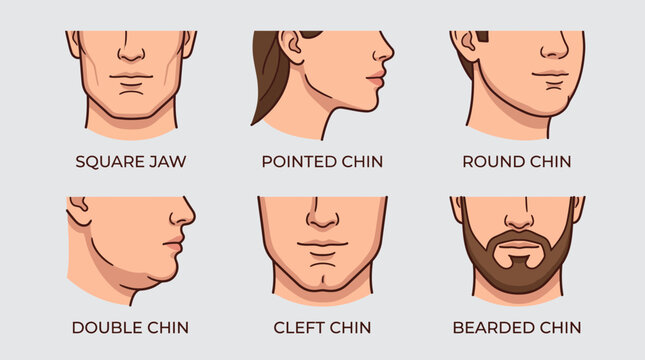 Various human chin and jaw shape types set vector illustration