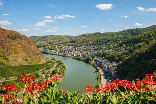 Scenic Summer Panorama of the Mosel River Valley, Germany, with Lush Vineyards, a Charming Village, and Red Geraniums in the Foreground