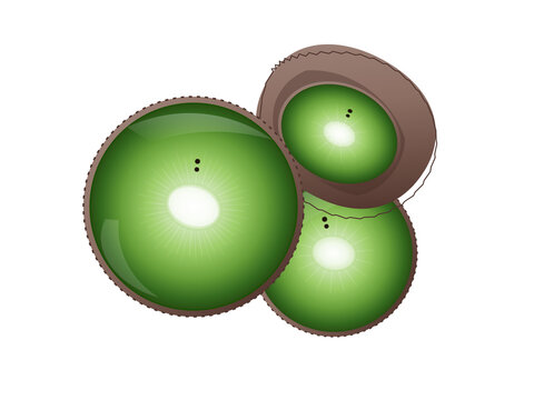Fresh green kiwi fruit slices vector graphic