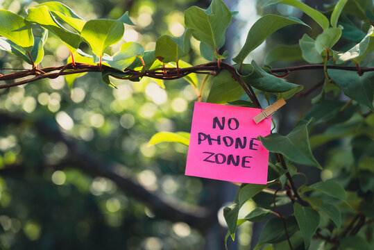 Colorful paper note displays NO PHONE ZONE messages against lush green foliage. Close-up composition combines natural greenery with online escapism, tech overload digital detox, mindful living