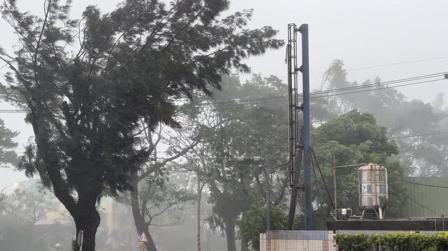 Trees Battered By Extreme Winds And Heavy Rain As Hurricane Hits