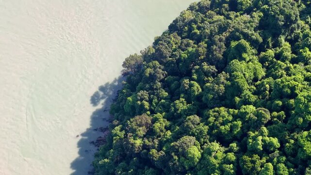 Aerial view captures river water meeting dense forest. Calm surface reflects vibrant green canopy at Pulau Aman