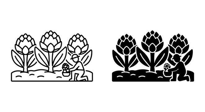 Minimalist artichoke farming icons, farmer harvesting vegetables in field, black line and silhouette vector set for agriculture