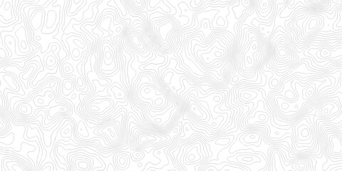 Abstract grid landscape topography white background. white and black relief line wireframe isoline location diagram world map texture design.   © MOHAMMAD