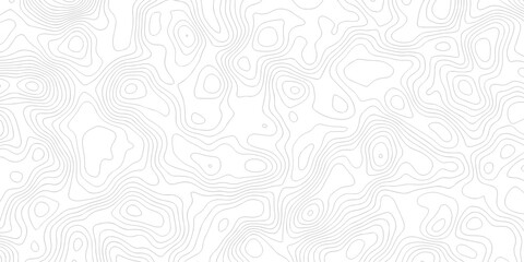Abstract grid landscape topography white background. white and black relief line wireframe isoline location diagram world map texture design.   © MOHAMMAD