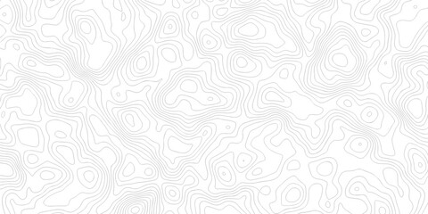 Abstract grid landscape topography white background. white and black relief line wireframe isoline location diagram world map texture design.   © MOHAMMAD