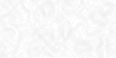 Abstract grid landscape topography white background. white and black relief line wireframe isoline location diagram world map texture design.   © MOHAMMAD