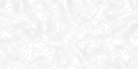 Abstract grid landscape topography white background. white and black relief line wireframe isoline location diagram world map texture design.   © MOHAMMAD