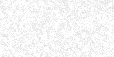 Abstract grid landscape topography white background. white and black relief line wireframe isoline location diagram world map texture design.   © MOHAMMAD