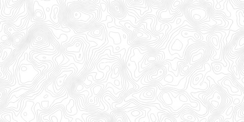 Abstract grid landscape topography white background. white and black relief line wireframe isoline location diagram world map texture design.   © MOHAMMAD