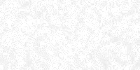 Abstract grid landscape topography white background. white and black relief line wireframe isoline location diagram world map texture design.   © MOHAMMAD