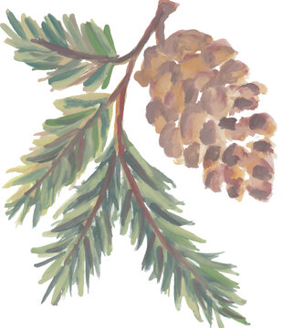 Watercolor Pine Branch with Pinecone Isolated