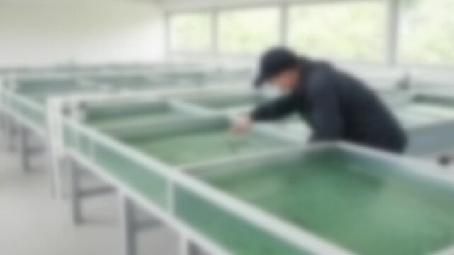Hatchery tanks with juvenile fish in a bright facility, Full Gaussian Blur Abstract