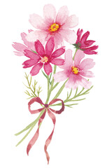 Fototapeta premium 水彩で描いたコスモスの花束