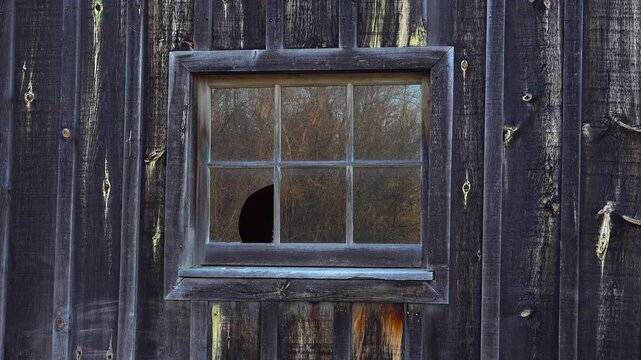 A close-up shot of an old, cracked six-pane window set into a dark, textured wood plank wall of a rustic building.