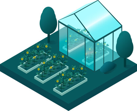Go Green and Sustainable Living Concept. Sustainability and Green Technology for a Better Future. Urban Farm and Greenhouse for Sustainable Agriculture