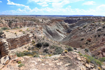 Blue Mesa Scenic Trail in Petrified Forest National Park, a natural attraction place with many petrified tree trunks and fossils, in Arizona, USA. © leochen66