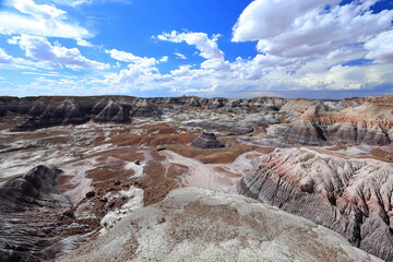 Blue Mesa Scenic Trail in Petrified Forest National Park, a natural attraction place with many petrified tree trunks and fossils, in Arizona, USA. © leochen66