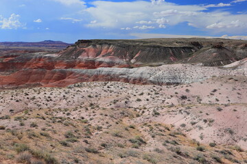 Petrified Forest National Park, a natural attraction place with many petrified tree trunks and fossils, in Arizona, USA. © leochen66
