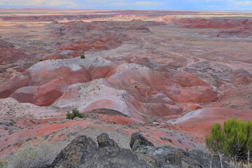 Petrified Forest National Park, a natural attraction place with many petrified tree trunks and fossils, in Arizona, USA. © leochen66